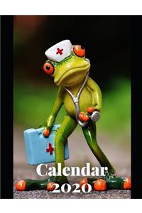 Nurse Calendar 2020