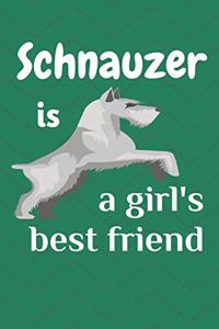Schnauzer is a girl's best friend