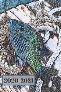 Purple Blue Teal & Green Bluegill on a Dock Dated Calendar Planner 2 years To-Do Lists, Tasks, Notes Appointments Book
