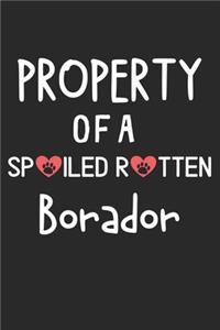 Property Of A Spoiled Rotten Borador