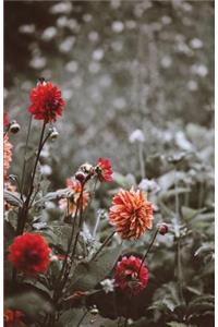 The Botanical Collection