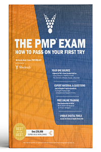 The Pmp Exam