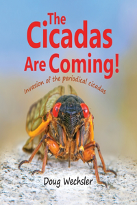 Cicadas Are Coming!