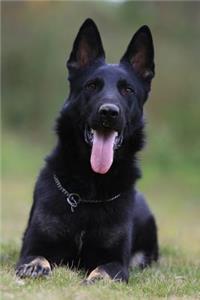 German Shepherd Dot Grid Notebook