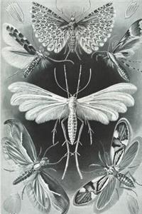 Haeckel Scientific Biological Art Notebook