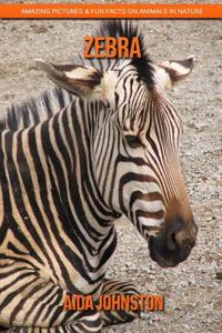Zebra: Amazing Pictures & Fun Facts on Animals in Nature