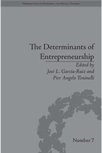 The Determinants of Entrepreneurship