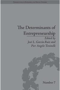 Determinants of Entrepreneurship