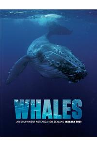 Whales and Dolphins of Aotearoa New Zealand