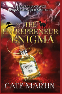 Entrepreneur Enigma