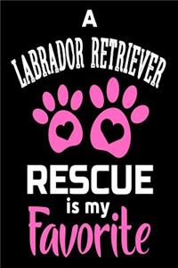 A Labrador Retriever Rescue Is My Favorite