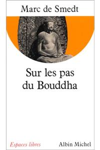 Sur Les Pas Du Bouddha