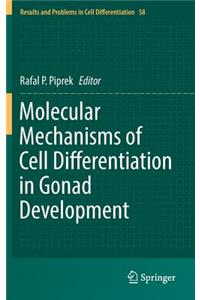 Molecular Mechanisms of Cell Differentiation in Gonad Development