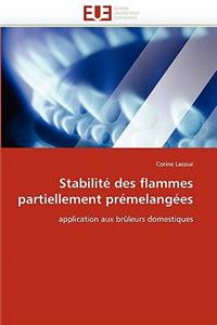 Stabilité des flammes partiellement prémelangées