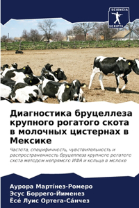 Диагностика бруцеллеза крупного рогатог&