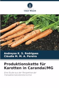 Produktionskette für Karotten in Carandaí/MG