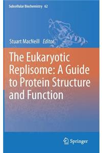 Eukaryotic Replisome: A Guide to Protein Structure and Function