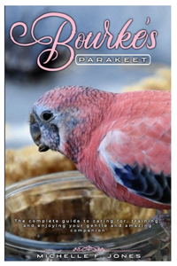 Bourke's Parakeet