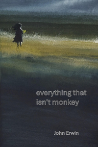 everything that isn't monkey