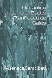Hidraulico Ingeniero/Bados Planificado de Gales