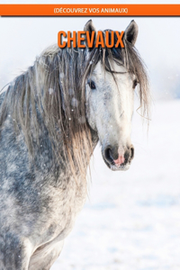 Chevaux (Découvrez Vos Animaux)