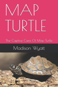 Map Turtle