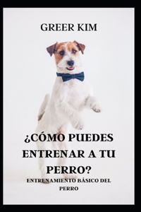 ?Como Puedes Entrenar a Tu Perro?