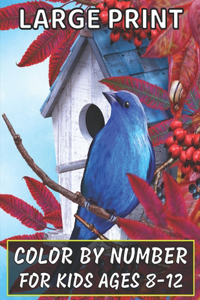 Large Print Color By Number For Kids Ages 8-12