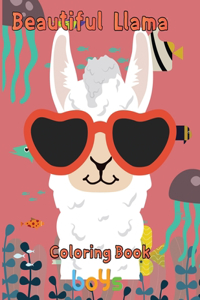 Beautiful Llama Coloring Book boys