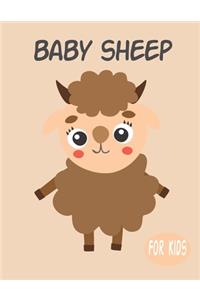 Baby Sheep For Kids