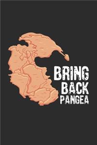 Bring Back Pangea