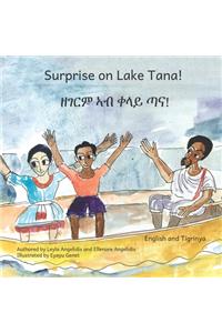 Surprise on Lake Tana