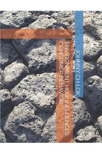 Environment How Influences Consumer Behavior