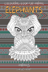 Colouring Book for Animal - Animals - Large Print - Elephants
