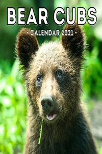 Bear Cubs Calendar 2021