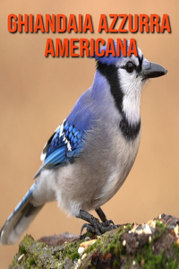 Ghiandaia azzurra americana