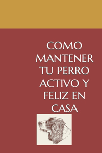 Cómo Mantener a tu Perro Activo y Feliz en Casa