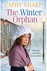 The Winter Orphan