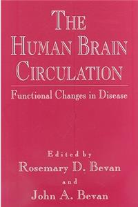 Human Brain Circulation: Functional Changes in Disease