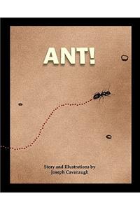 Ant!