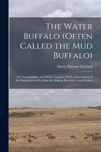 Water Buffalo (Often Called the Mud Buffalo)