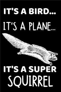 It's A Bird...It's A Plane...It's A Super Squirrel