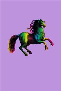 Rainbow Horse Diary