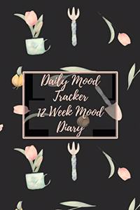 Daily Mood Tracker 12 Week Mood Diary