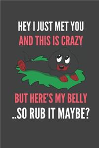 Hey I Just Met You And This Is Crazy But Here's My Belly ..So Rub It Maybe?