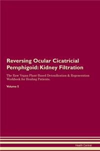 Reversing Ocular Cicatricial Pemphigoid: Kidney Filtration The Raw Vegan Plant-Based Detoxification & Regeneration Workbook for Healing Patients.Volume 5
