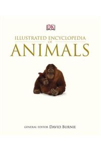 Illustrated Encyclopedia of Animals