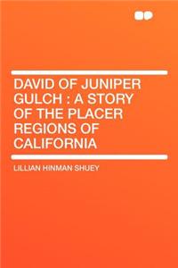 David of Juniper Gulch: A Story of the Placer Regions of California