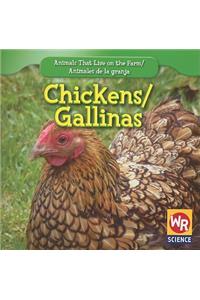 Chickens / Las Gallinas