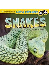 Snakes (Little Scientist)
